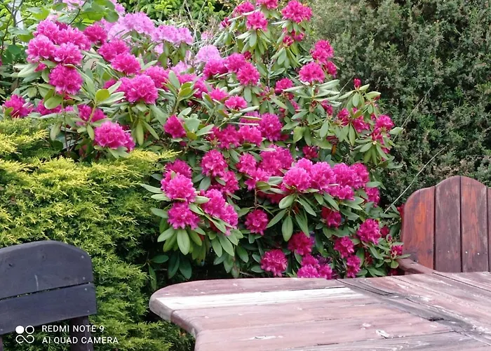 Ziemowit Karkonosze * Lubawka